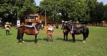 Encachao y Destacada fueron los mejores en una entretenida Expo Angol Encachao y Destacada fueron los mejores en una entretenida Expo Angol