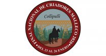Los datos imperdibles para la Expo Nacional y Final de Criadores 2020 Los datos imperdibles para la Expo Nacional y Final de Criadores 2020