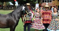 Los Grandes Premios de la Expo Angol