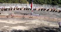 Claudio Bello y Raúl Amar atajaron más que todos en rodeo del Club Trancura de Curarrehue