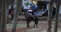 Todo listo para la gran fiesta de los Criadores en Collipulli