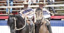 Criadero Peleco se adueñó de la Primera Libre B en Collipulli Criadero Peleco se adueñó de la Primera Libre B en Collipulli