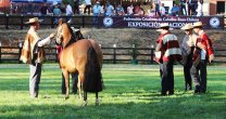 Resultados: Río Elqui Con Tuti y El Tani Omega triunfaron en la Expo Nacional 2020 Resultados: Río Elqui Con Tuti y El Tani Omega triunfaron en la Expo Nacional 2020