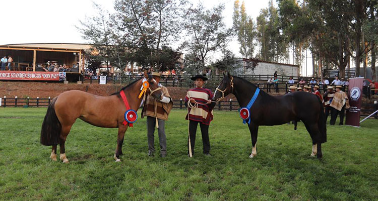 Con Tuti y Omega deslumbraron como los mejores en la Expo Nacional 2020