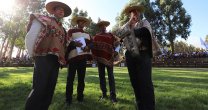 Jurados calificaron como exitosa la Exposición Nacional de Collipulli Jurados calificaron como exitosa la Exposición Nacional de Collipulli