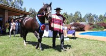Los Criadores realizaron su tradicional Premiación en la Final 2020 Los Criadores realizaron su tradicional Premiación en la Final 2020