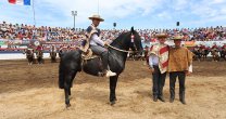 Peleco Caballero, Sello de Raza de la Final de Rodeos Para Criadores 2020 Peleco Caballero, Sello de Raza de la Final de Rodeos Para Criadores 2020