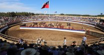 Dirigentes y autoridades: Final de Rodeos Para Criadores fue todo un éxito Dirigentes y autoridades: Final de Rodeos Para Criadores fue todo un éxito