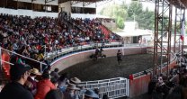 Protagonistas del cuarto animal en Zonal Sur destacaron la fiesta de Frutillar Protagonistas del cuarto animal en Zonal Sur destacaron la fiesta de Frutillar