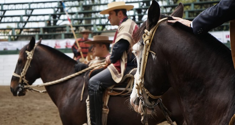 Información sobre Acreditación Corredores y Prensa en Clasificatorio de San Clemente