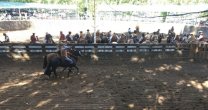 El Rodeo Cuyano tendrá su Final este fin de semana El Rodeo Cuyano tendrá su Final este fin de semana