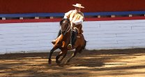 La Rienda de Pucón tendrá destacados participantes en competencia La Rienda de Pucón tendrá destacados participantes en competencia
