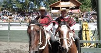 Los Schwalm ganaron la Serie Caballos de Pucón y dirán presente en El Chileno Los Schwalm ganaron la Serie Caballos de Pucón y dirán presente en El Chileno