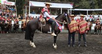 Alucarpa Resagada ganó el Sello de Raza del Clasificatorio de Pucón Alucarpa Resagada ganó el Sello de Raza del Clasificatorio de Pucón