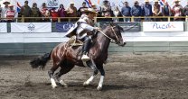 Alfonso Navarro: Esta clasificación tiene una bonita historia Alfonso Navarro: Esta clasificación tiene una bonita historia