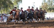 Gran éxito de público tuvieron actuaciones de Palmas en Zapallar y Catapilco
