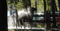 El Lado B, una segunda mirada al Clasificatorio de Pucón