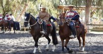 En San Clemente anticipan una gran fiesta corralera En San Clemente anticipan una gran fiesta corralera