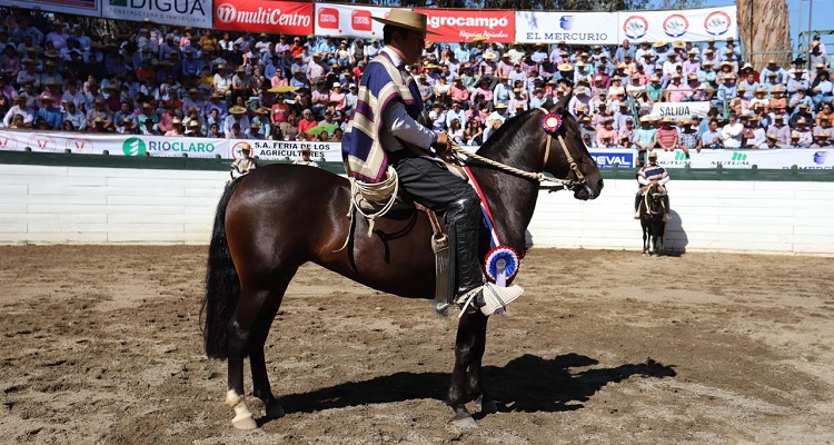 San Manuel de La Punta Mi Negra fue Sello de Raza en el Clasificatorio Centro