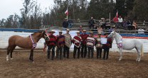 Ferocam comenzará este sábado muestras de caballos chilenos rumbo a su Final en Rancagua Ferocam comenzará este sábado muestras de caballos chilenos rumbo a su Final en Rancagua