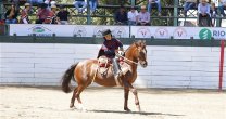 Máximo Farías, un pequeño corralero criado en torno a los caballos Máximo Farías, un pequeño corralero criado en torno a los caballos