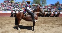 Palmas de Peñaflor Pinturita se llevó el Sello de Raza en Batuco Palmas de Peñaflor Pinturita se llevó el Sello de Raza en Batuco