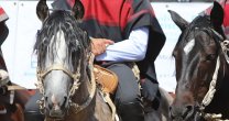 Los momentos previos a la Serie de Campeones en Batuco