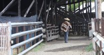 La previa del Clasificatorio Repechaje Centro Sur de Osorno