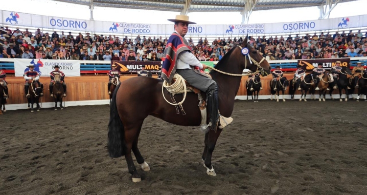 Santa Bárbara de Los Guaicos Canela fue electa Sello de Raza de Osorno