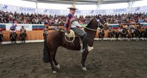 Santa Bárbara de Los Guaicos Canela fue electa Sello de Raza de Osorno Santa Bárbara de Los Guaicos Canela fue electa Sello de Raza de Osorno