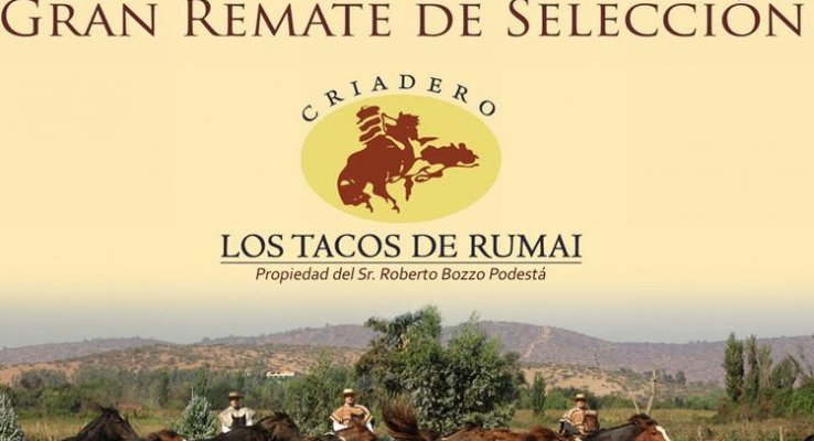 Los Tacos de Rumai tiene destacada venta privada