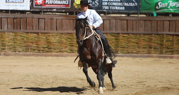 Yeny Troncoso: Los caballos han sido mi remedio para enfrentar la cuarentena