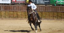 Yeny Troncoso: Los caballos han sido mi remedio para enfrentar la cuarentena Yeny Troncoso: Los caballos han sido mi remedio para enfrentar la cuarentena