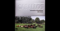Para aliviar la Cuarentena: Libro Para aliviar la Cuarentena: Libro