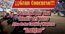 Resultado del concurso de la monta del potro Agua de los Campos y Maquena Indigno Resultado del concurso de la monta del potro Agua de los Campos y Maquena Indigno
