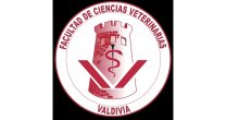 Universidad Austral se embarcó en proyecto para construir respiradores mecánicos Universidad Austral se embarcó en proyecto para construir respiradores mecánicos