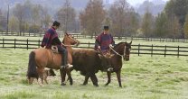 El Anuario 2015 del Rodeo visitó el Criadero Vista Volcán