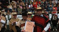 Alvaro González, presidente de Arauco: Hay que cuidarse para reencontrarnos en las Medialunas Alvaro González, presidente de Arauco: Hay que cuidarse para reencontrarnos en las Medialunas