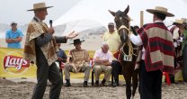 Palabras de Eduardo Porte para recordar sobre el caballo chileno: Nuestra raza es fuerte Palabras de Eduardo Porte para recordar sobre el caballo chileno: Nuestra raza es fuerte