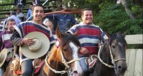 Criadero El Relincho aprovecha el receso para trabajar caballos nuevos Criadero El Relincho aprovecha el receso para trabajar caballos nuevos