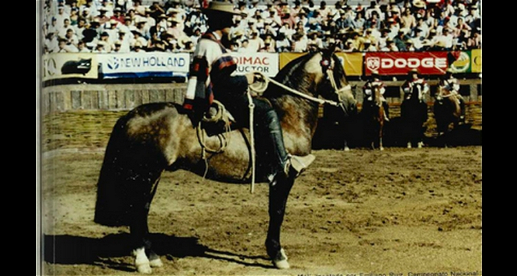 El Rincón Melí, un potro que iluminó la Monumental de Rancagua