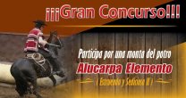 ¿Todavía no participas? Federación del Rodeo sortea una monta del potro Alucarpa Elemento ¿Todavía no participas? Federación del Rodeo sortea una monta del potro Alucarpa Elemento