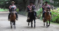Anuario 2018 del Rodeo: Los González Cordero, Familia Corralera