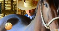 El arte de arreglar Caballos Chilenos con Emilio Vilches