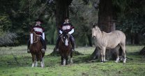 Anuario del Rodeo 2017: La visita al Criadero El Eco para entrevistar a Juan Antonio y Bruno Rehbein