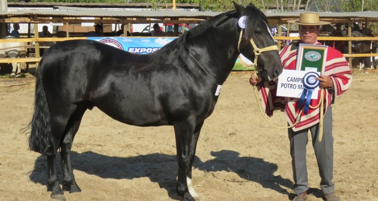 Criadero Santa Constanza, una tradición familiar