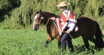 La visita al Criadero Río Claro luego del título de la Elegancia en la Expo Nacional 2016 La visita al Criadero Río Claro luego del título de la Elegancia en la Expo Nacional 2016