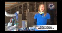 Katherina Yokota dio importantes consejos para el cuidado odontológico de los caballos