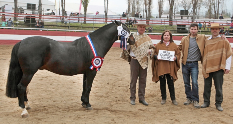 Criadero Santa Eliana, una apuesta por la excelencia