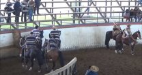 Revisión de Rodeos: Criadero Peñas Blancas conquistó con categoría un 1a con Puntos de Concepción